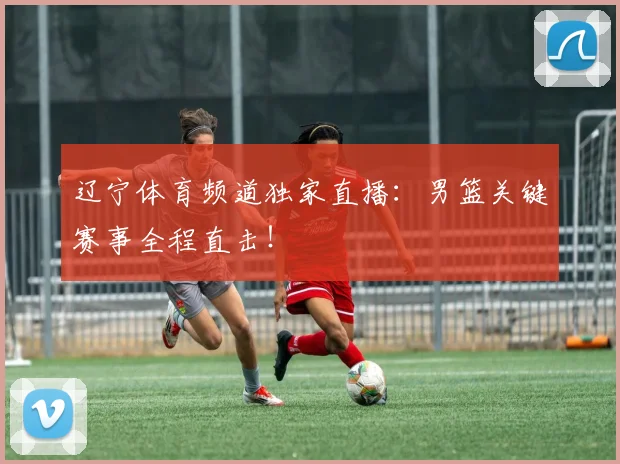 辽宁体育频道独家直播：男篮关键赛事全程直击！