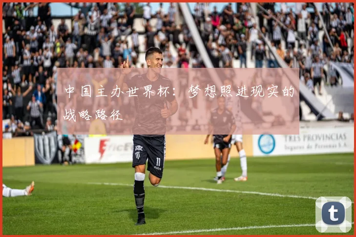 中国主办世界杯：梦想照进现实的战略路径