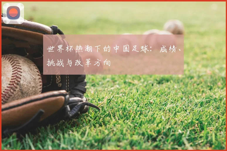 世界杯热潮下的中国足球:成绩、挑战与改革方向
