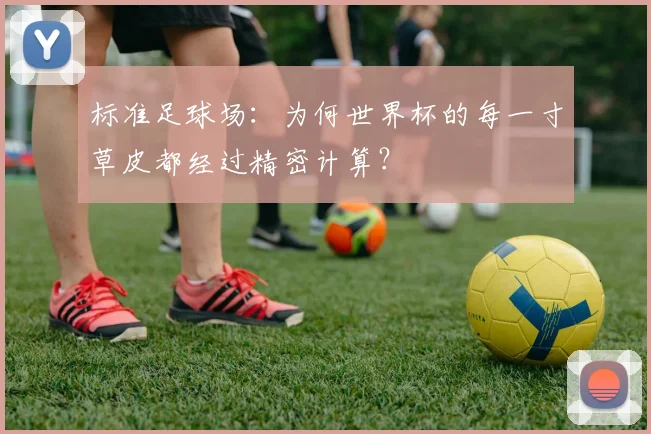 标准足球场：为何世界杯的每一寸草皮都经过精密计算？