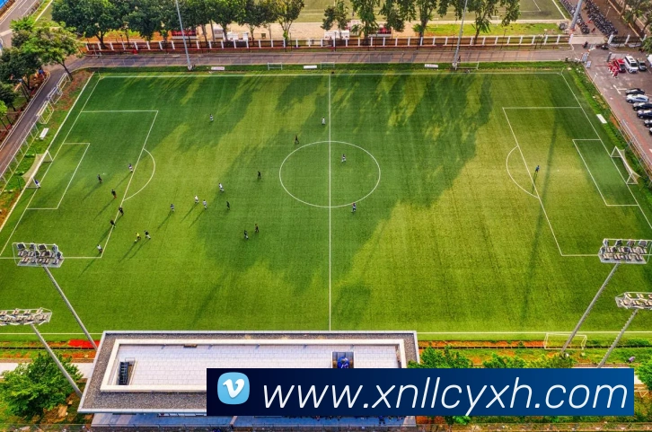 王霜回归女足集训名单 国家队备战关键赛事名单出炉